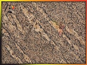 Giallocalifornia | Granit Tezgah Ankara