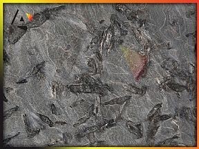 Matrix | Granit Mermer Fiyatlari Ankara